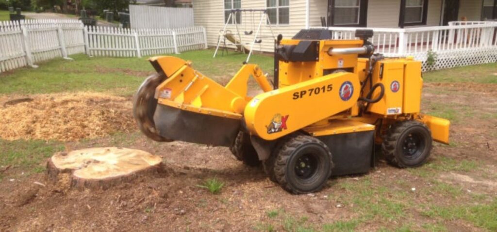 professional stump grinding