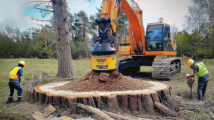 professional stump grinding