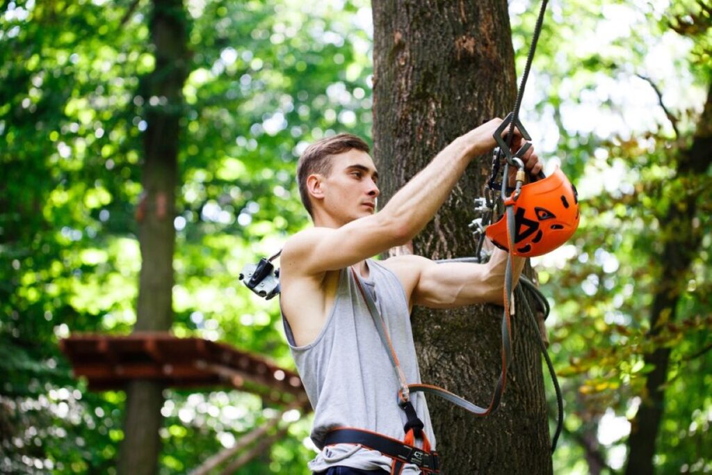 tree pruning near me