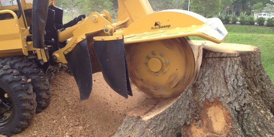 professional stump grinding