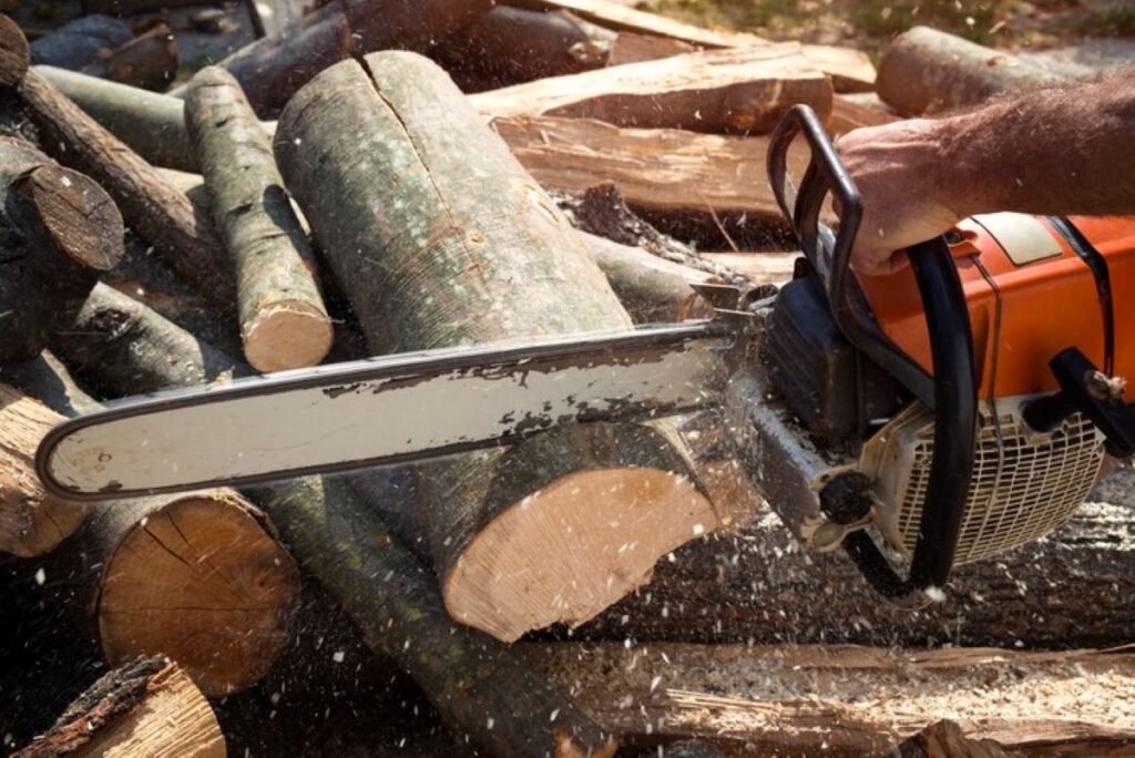grinding tree stump